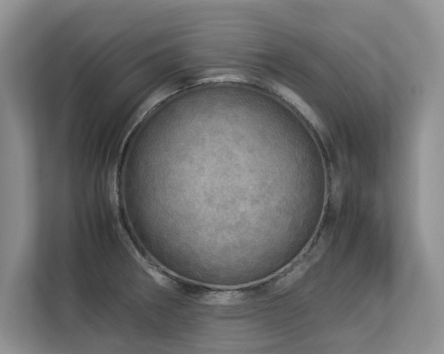 X0000112951282200908241335
