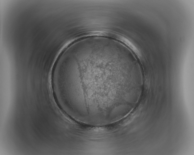 X0000112951283200908241335