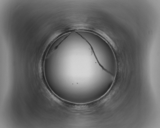 X0000112951285200908241335