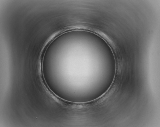 X0000112951286200908241335