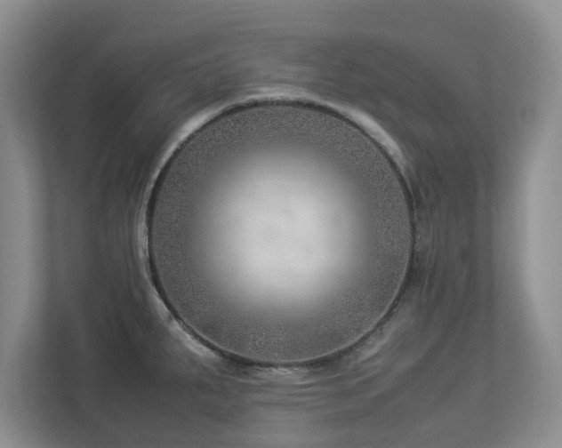 X0000112951287200908241335