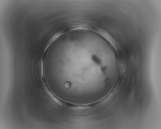X0000112951290200908241335