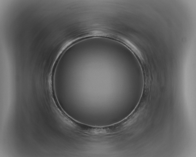 X0000112951291200908241335