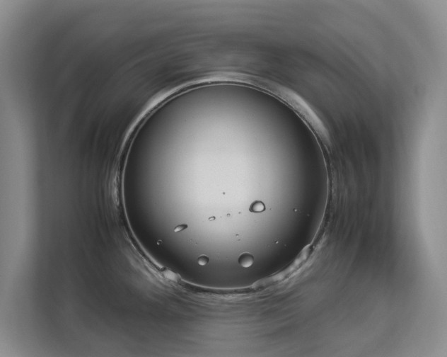 X0000112951292200908241335