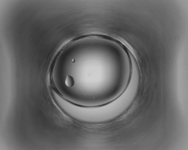 X0000112951293200908241335