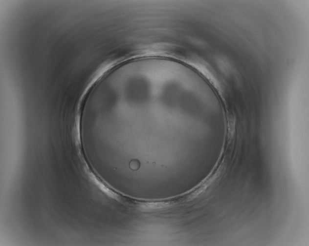 X0000112951294200908241335