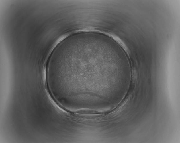 X0000112951295200908241335