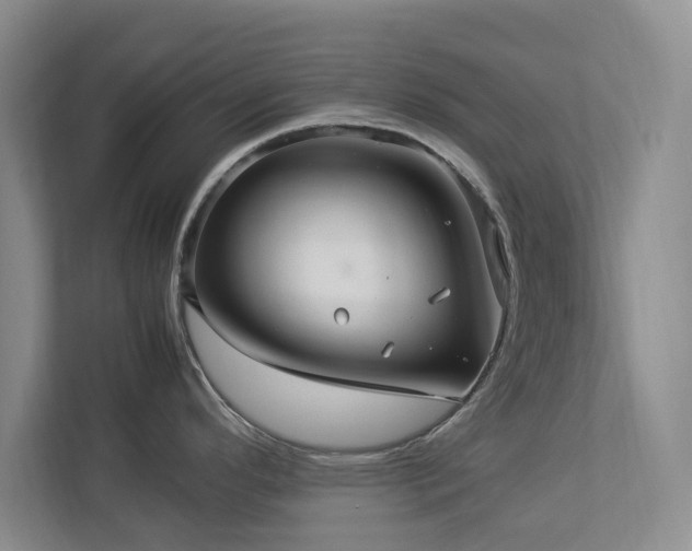 X0000112951296200908241335