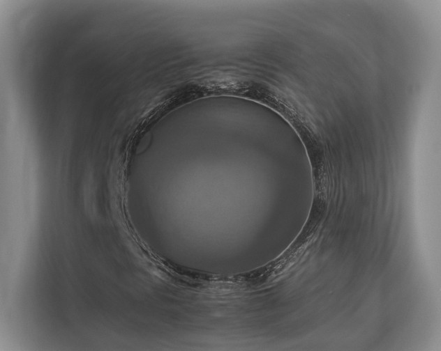 X0000112951297200908241334