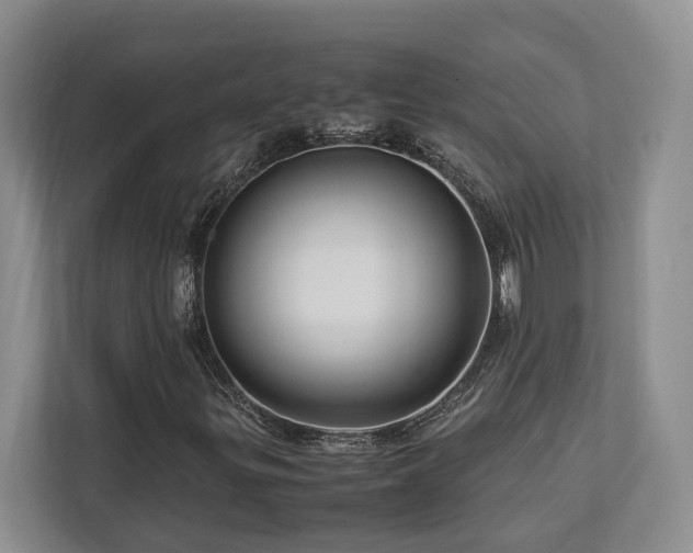 X0000112951299200908241334