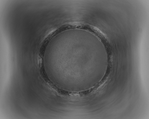X0000112951302200908241334