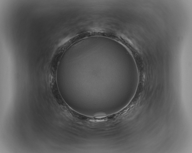X0000112951303200908241334