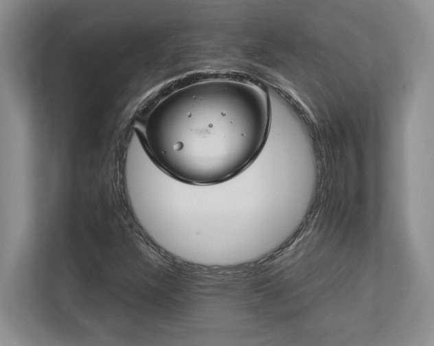 X0000112951304200908241334