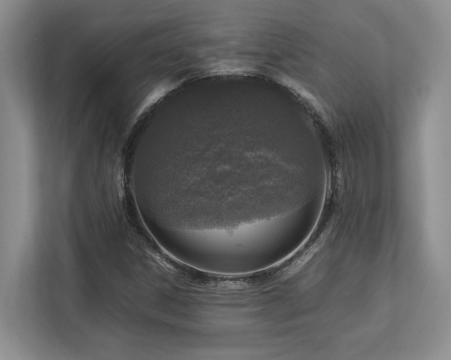 X0000112951306200908241334