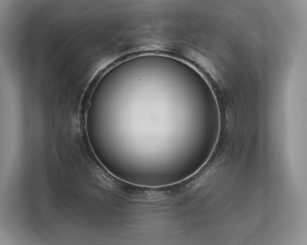 X0000112951308200908241335