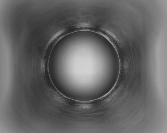 X0000112951309200908241335