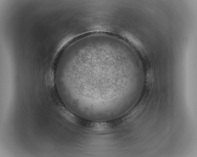 X0000112951310200908241335