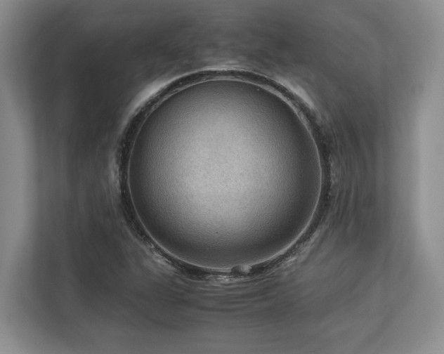 X0000112951311200908241335