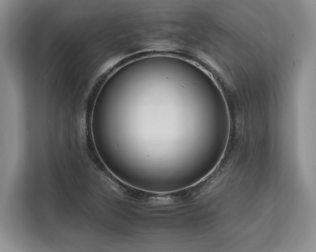 X0000112951315200908241335