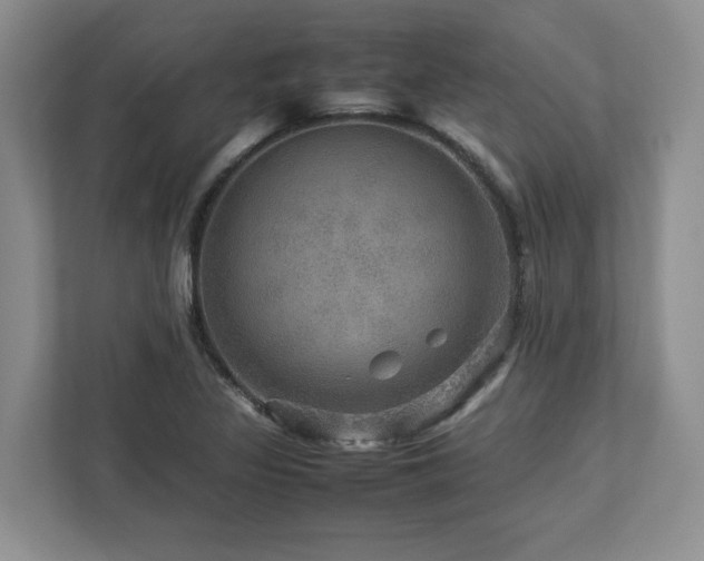 X0000112951317200908241335