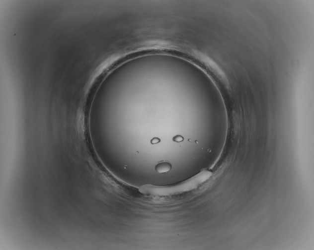 X0000112951318200908241335