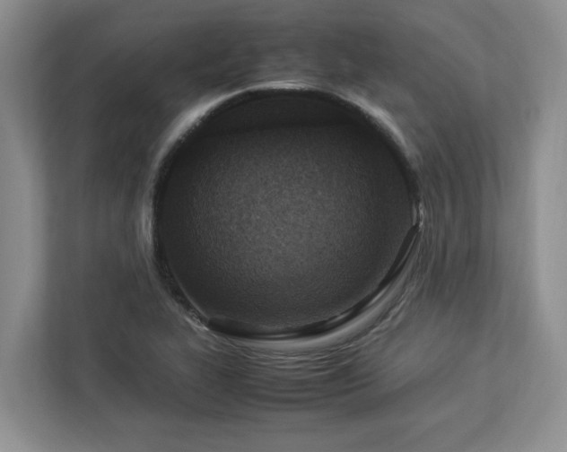 X0000112951319200908241335