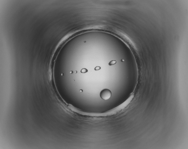X0000112951324200908241335