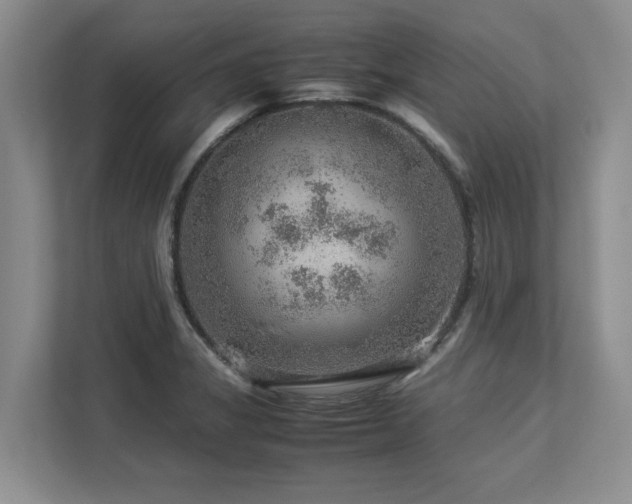 X0000112951325200908241335