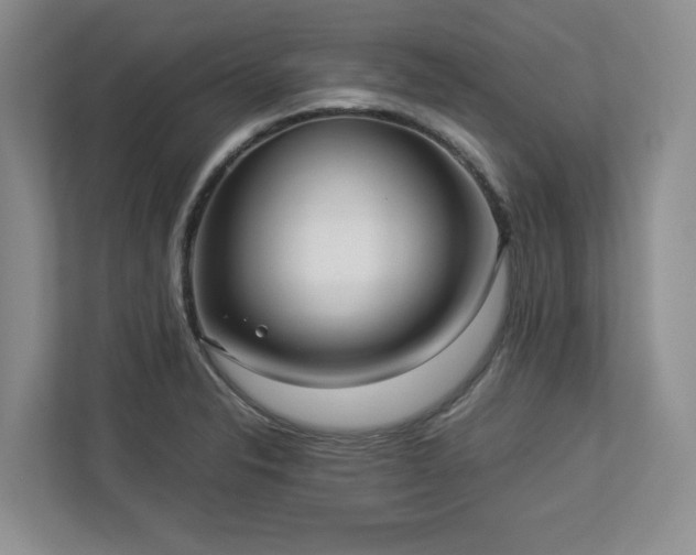 X0000112951326200908241335