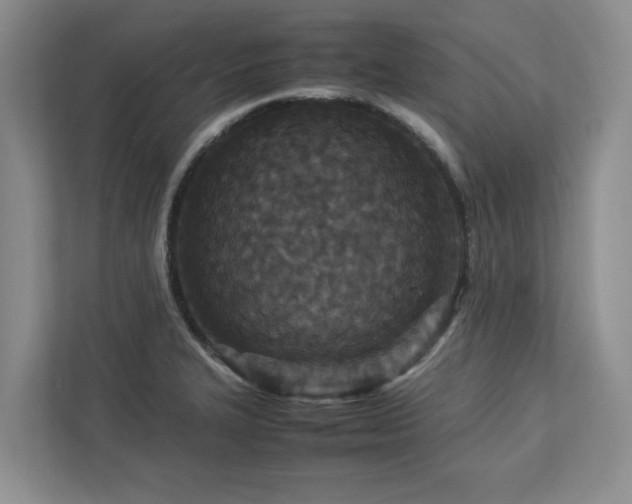 X0000112951327200908241335