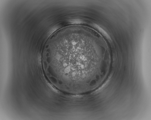 X0000112951329200908241335