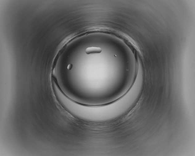 X0000112951330200908241335