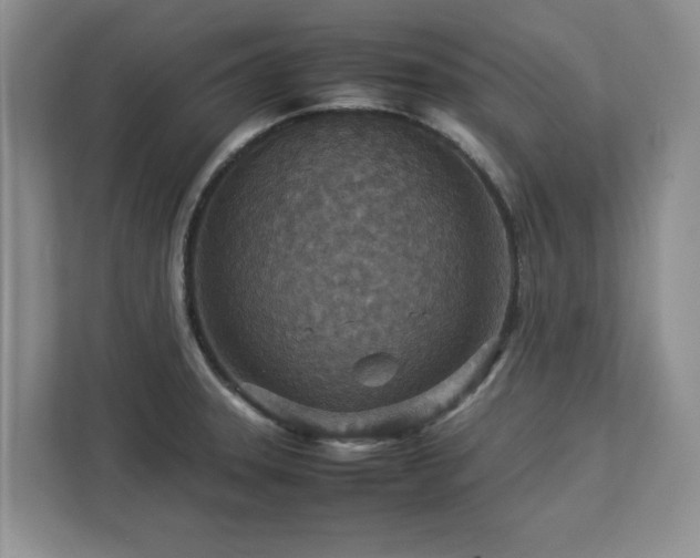 X0000112951331200908241335