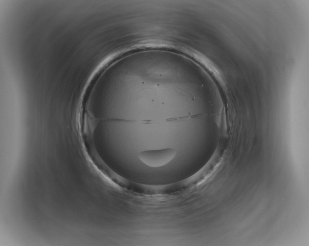 X0000112951334200908241335