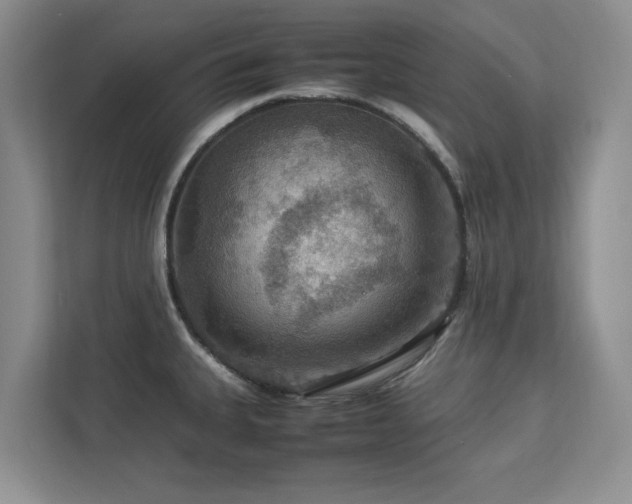 X0000112951335200908241335