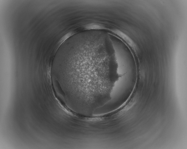 X0000112951337200908241335