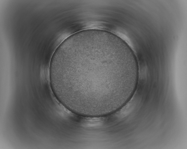 X0000112951338200908241335