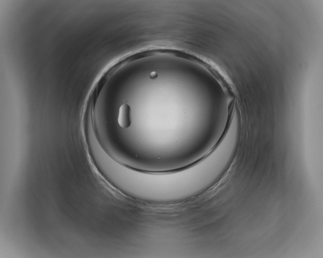 X0000112951342200908241335