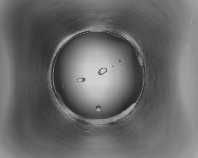 X0000112951344200908241335