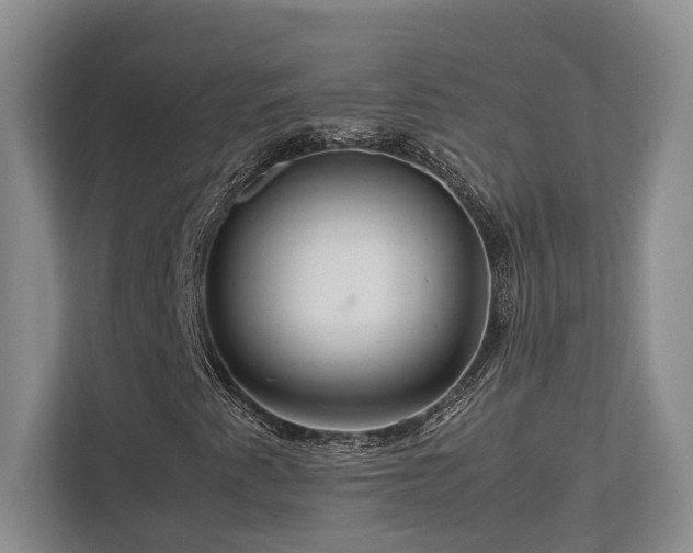 X0000112951345200908241334