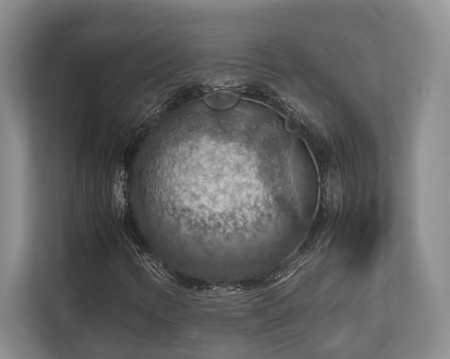 X0000112951346200908241334