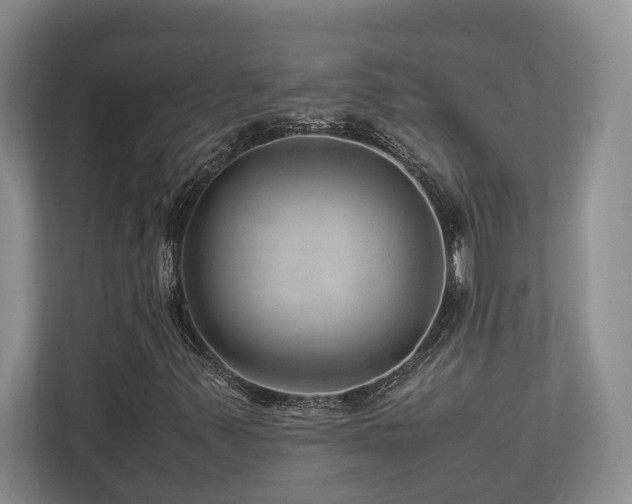 X0000112951347200908241334