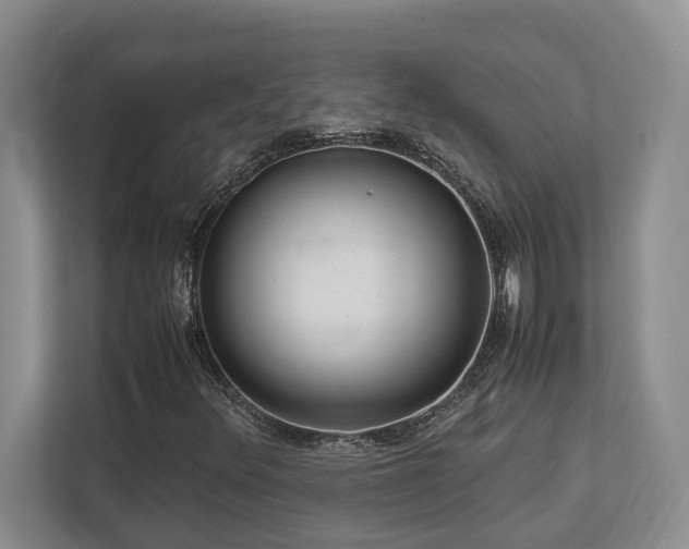X0000112951348200908241334