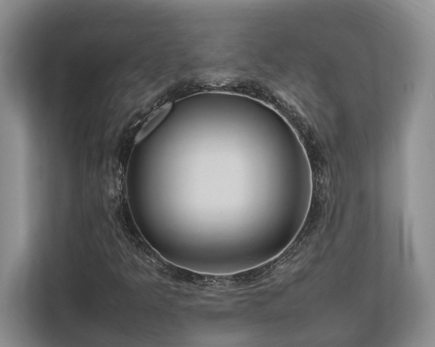 X0000112951349200908241334