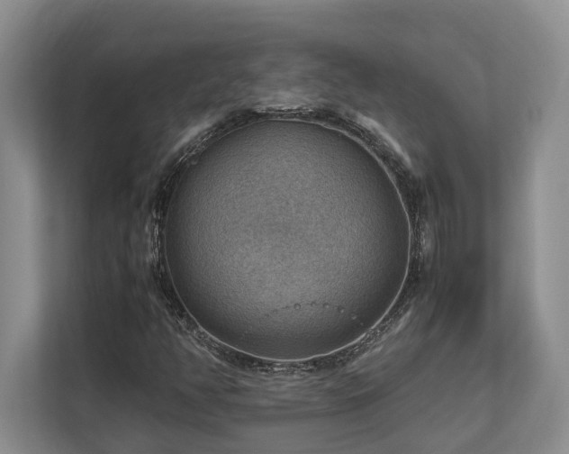 X0000112951350200908241334