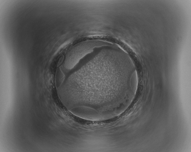 X0000112951351200908241334