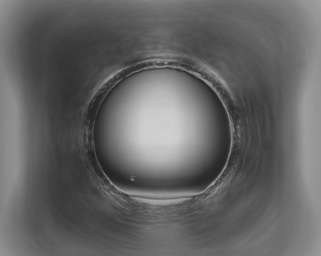 X0000112951352200908241334