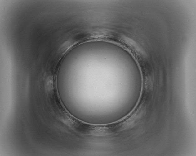 X0000112951353200908241334