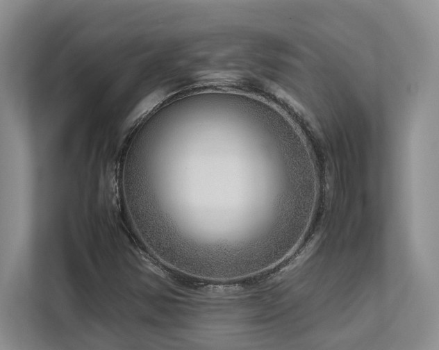X0000112951354200908241334