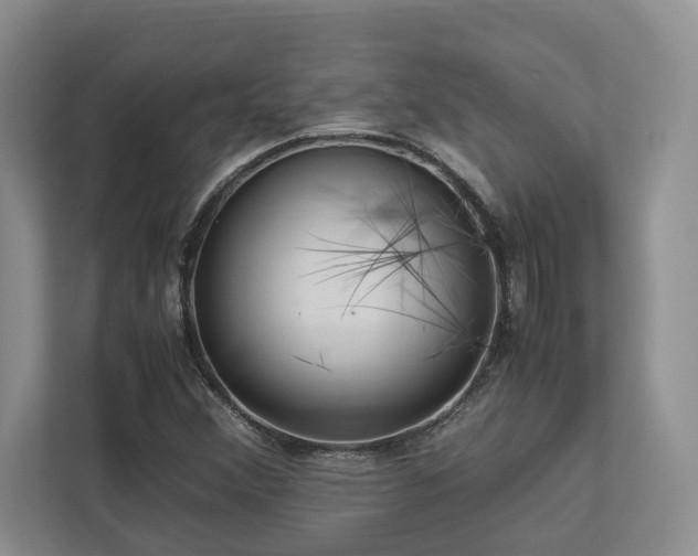 X0000112951356200908241334